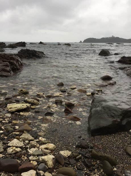 鹿児島ホテルから