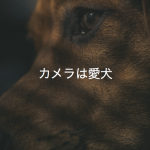 カメラは愛犬