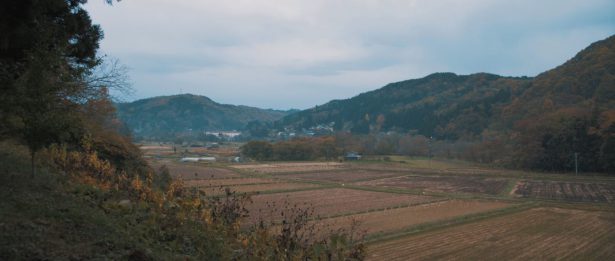 八戸の田園風景