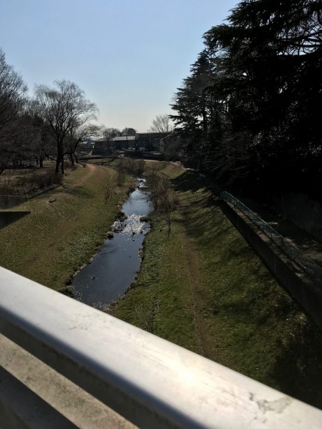 野川公園